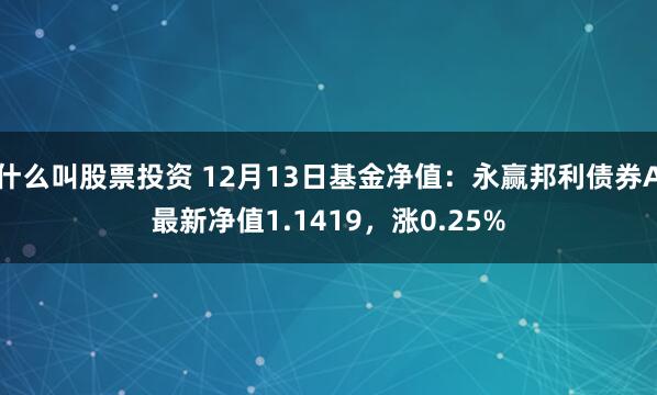 什么叫股票投资 12月13日基金净值：永赢邦利债券A最新净值1.1419，涨0.25%