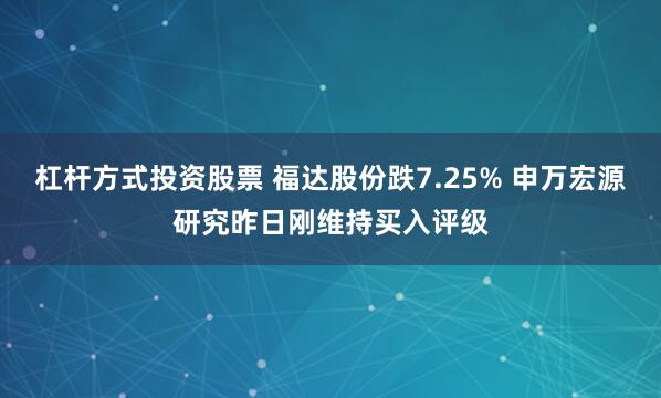 杠杆方式投资股票 福达股份跌7.25% 申万宏源研究昨日刚维持买入评级