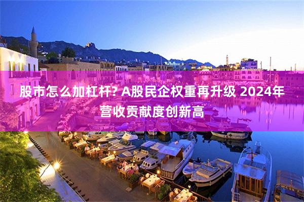 股市怎么加杠杆? A股民企权重再升级 2024年营收贡献度创新高