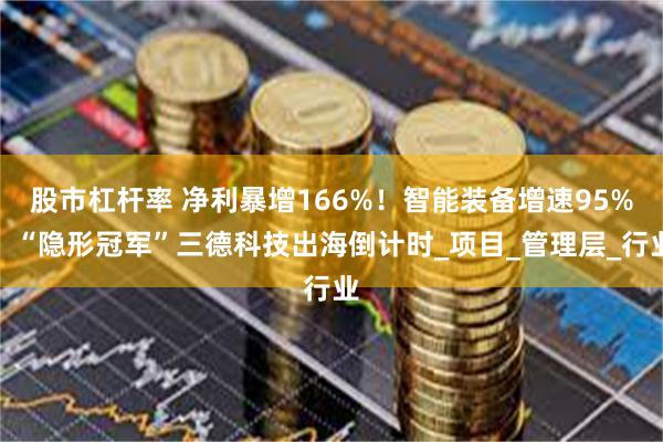 股市杠杆率 净利暴增166%！智能装备增速95%！“隐形冠军”三德科技出海倒计时_项目_管理层_行业