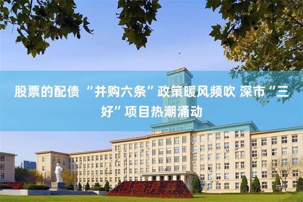 股票的配债 “并购六条”政策暖风频吹 深市“三好”项目热潮涌动