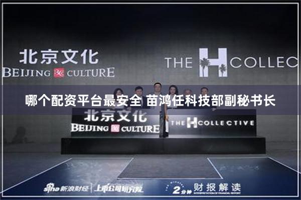 哪个配资平台最安全 苗鸿任科技部副秘书长
