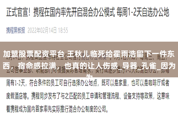 加盟股票配资平台 王秋儿临死给霍雨浩留下一件东西，宿命感拉满，也真的让人伤感_导器_孔雀_因为